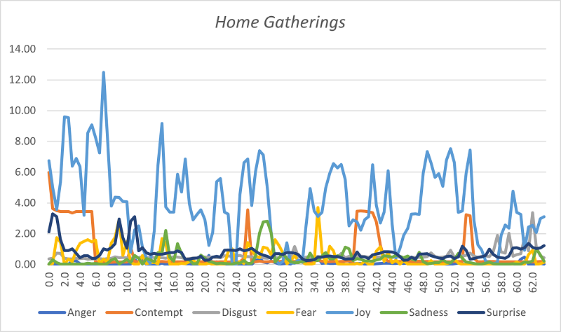 Home Gatherings. Evolution of emotions (in seconds)